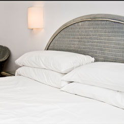 Oferta Viaje Hotel Hotel César Restaurant La Fitorra