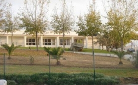 Viajes Palma Monforte