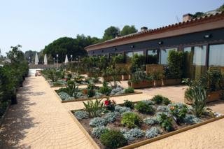 Viajes Pierre & Vacances Cala Cristal Beach Club + Entradas Circo del Sol Amaluna - Nivel 2 Viajes Pierre & Vacances Cala Cristal Beach Club + Entradas Circo del Sol Amaluna - Nivel 2