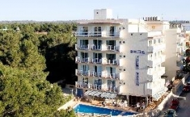 Viajes Palma Mazas + Visita a Bodega Celler Ramanya