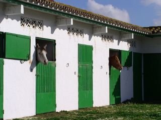 Viajes Cortijo Las Piñas + Kitesurf en Tarifa 4 hora / dia Viajes Cortijo Las Piñas + Kitesurf en Tarifa 4 hora / dia