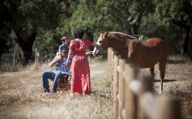 Viajes Monte do Giestal - Casas de Campo & SPA