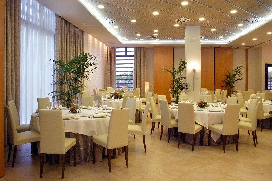 Viajes Las Artes + Entradas 1 día Faunia Viajes Las Artes + Entradas 1 día Faunia