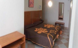 Viajes N-CH + Entradas Pack Selwo (SelwoAventura