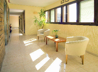 Viajes Adonis Plaza + Entradas Loro Parque 1 día Viajes Adonis Plaza + Entradas Loro Parque 1 día