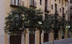 Viajes Catalonia Born + Zoo de Barcelona