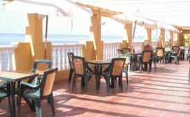 Viajes Torre Arena + Entradas General Selwo Marina Delfinarium Benalmádena