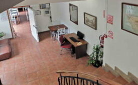 Viajes Maga + Entradas Loro Parque 1 día