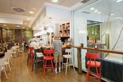 Viajes Blue Santa Rosa + Surf en Gijon 2 hora / dia Viajes Blue Santa Rosa + Surf en Gijon 2 hora / dia