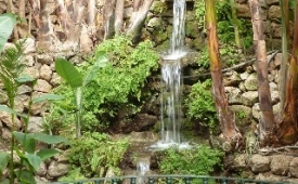 Viajes Pueblo Quinta + Entradas Bioparc de Fuengirola