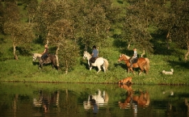 Viajes Herdade da Matinha Country House & Restaurant