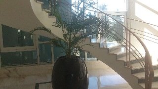 Viajes Hotel Joao Paulo II Viajes Hotel Joao Paulo II