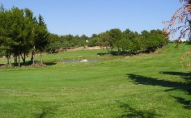Viajes Alto Fairways