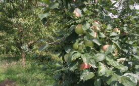 Viajes Casa De Carcavelos