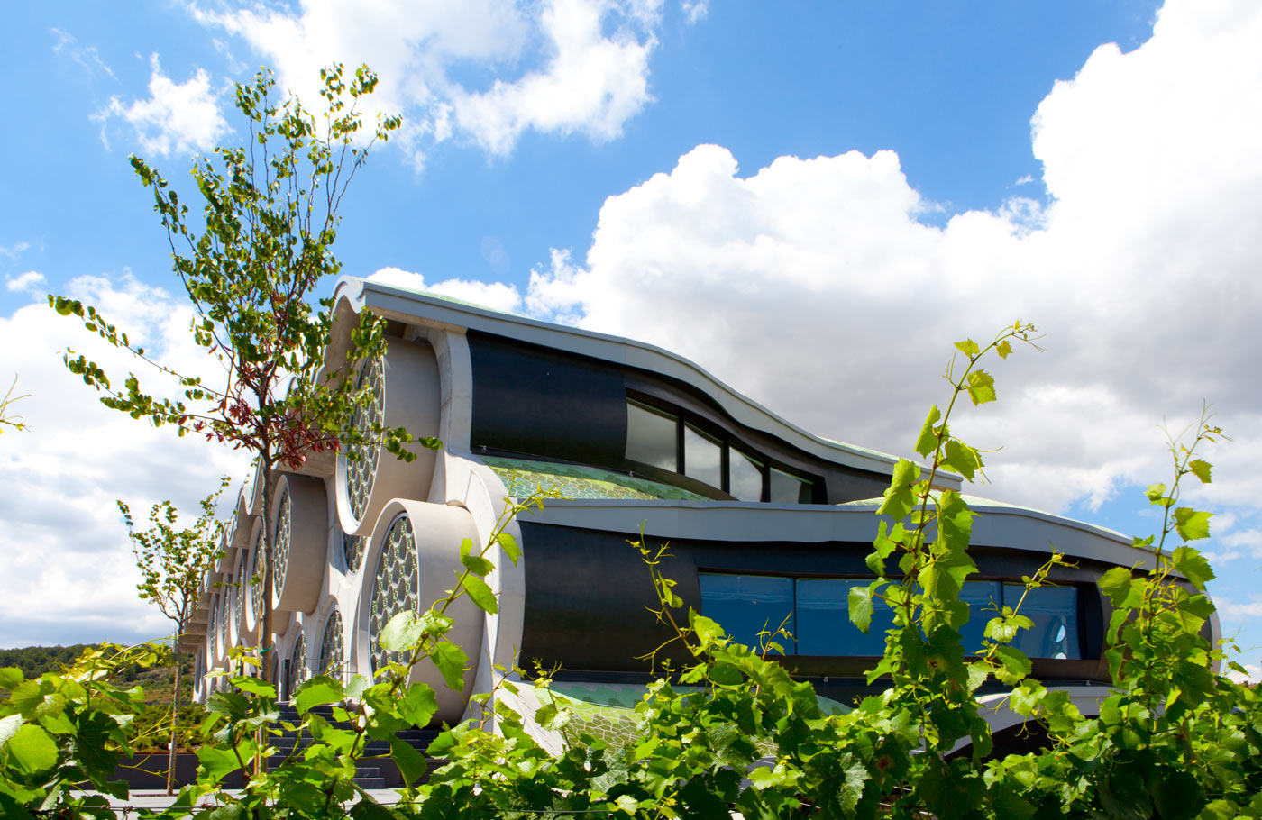 Viajes Cava And Hotel Mastinell Viajes Cava And Hotel Mastinell