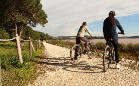 Viajes Obidos Lagoon Wellness Retreat