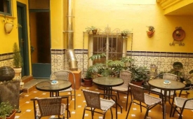 Viajes Agur + Entradas General Selwo Marina Delfinarium Benalmádena