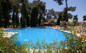 Viajes Las Chapas Palacio del Sol + Entradas Bioparc de Fuengirola