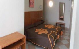 Viajes N-CH + Entradas Bioparc de Fuengirola