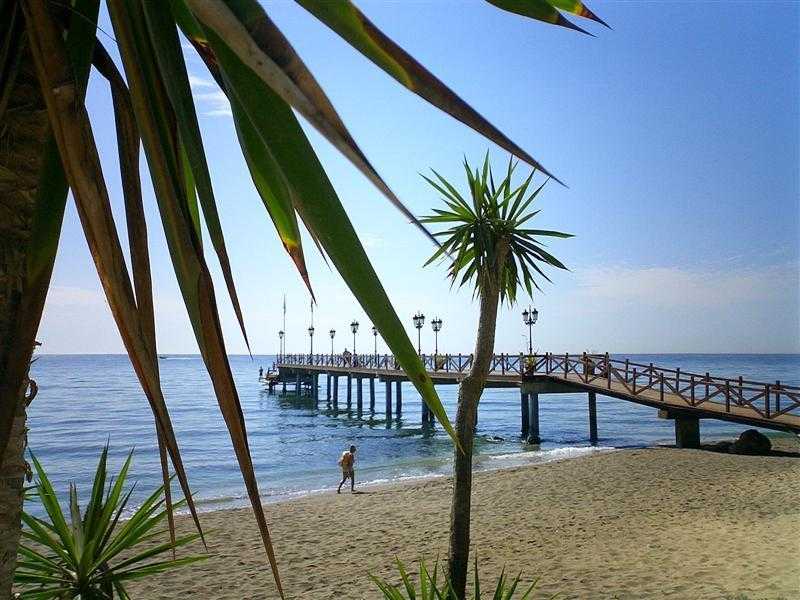 Viajes Hotel Monarque El Rodeo + Entradas Bioparc de Fuengirola Viajes Hotel Monarque El Rodeo + Entradas Bioparc de Fuengirola