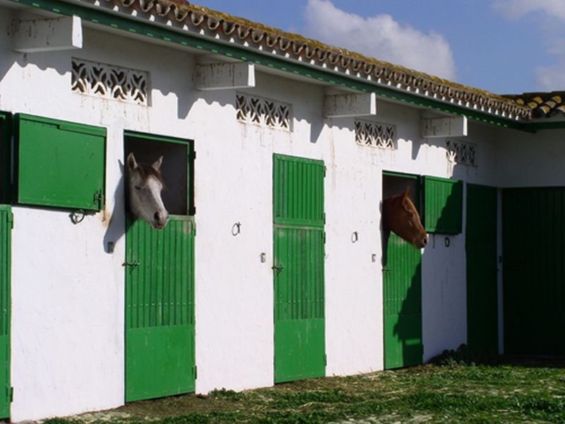 Viajes Cortijo Las Piñas + Kitesurf en Tarifa 4 hora / dia Viajes Cortijo Las Piñas + Kitesurf en Tarifa 4 hora / dia