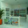 Viajes Aquashow Hotel + Entradas Aquashow Park