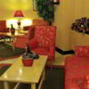 Viajes Princesa Playa + Entradas Pack Selwo (SelwoAventura