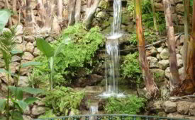 Viajes Pueblo Quinta + Entradas Bioparc de Fuengirola