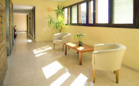 Viajes Adonis Plaza + Entradas Loro Parque 1 día