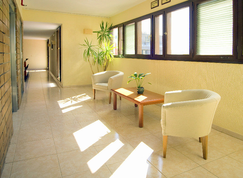 Viajes Adonis Plaza + Entradas Loro Parque 1 día Viajes Adonis Plaza + Entradas Loro Parque 1 día