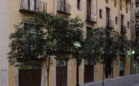 Viajes Catalonia Born + Entradas al Museo del Camp Nou