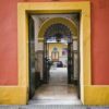 Viajes Hostal Trotamundos - Shared Rooms + Ruta por Catedral e Iglesia del Salvador
