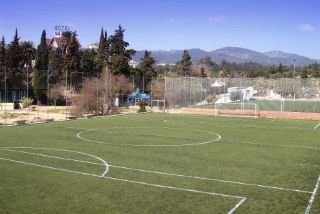 Viajes Abetos del Maestre Escuela + Visita la Mezquita y judería Viajes Abetos del Maestre Escuela + Visita la Mezquita y judería