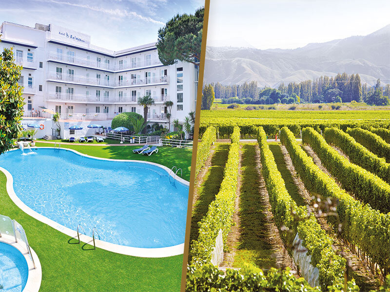 10000023610301655877777 Escapada enológica: 2 noches con cena y visita a bodega para 2 personas