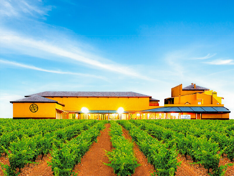 10000027693101083246895 Entre viñedos con Hotel Château Viñasoro 4*: 1 noche con cata